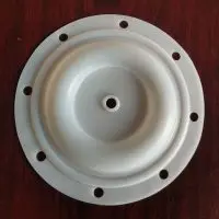 6202 Diaphragm PTFE Fit BSK Pumps BA25XX