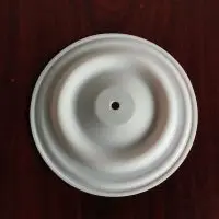 02-1040-55 Wilden PTFE diaphragm 02.1040.55