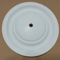 08-1040-55 Wilden PTFE diaphragm
