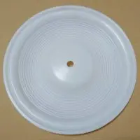 15-1010-55 Wilden PTFE diaphragm